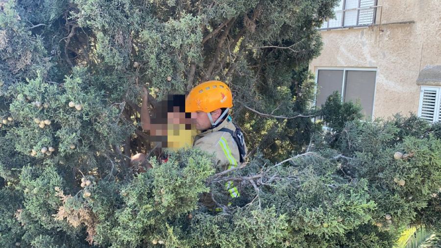 حيفا: تخليص طفل تسلّق شجرة بارتفاع 20 مترًا وعلق عليها